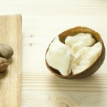 【9割の人が知らない！？】予約殺到のニロティカシアバターをついに入荷！！！