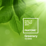 今年の流行色は？？？