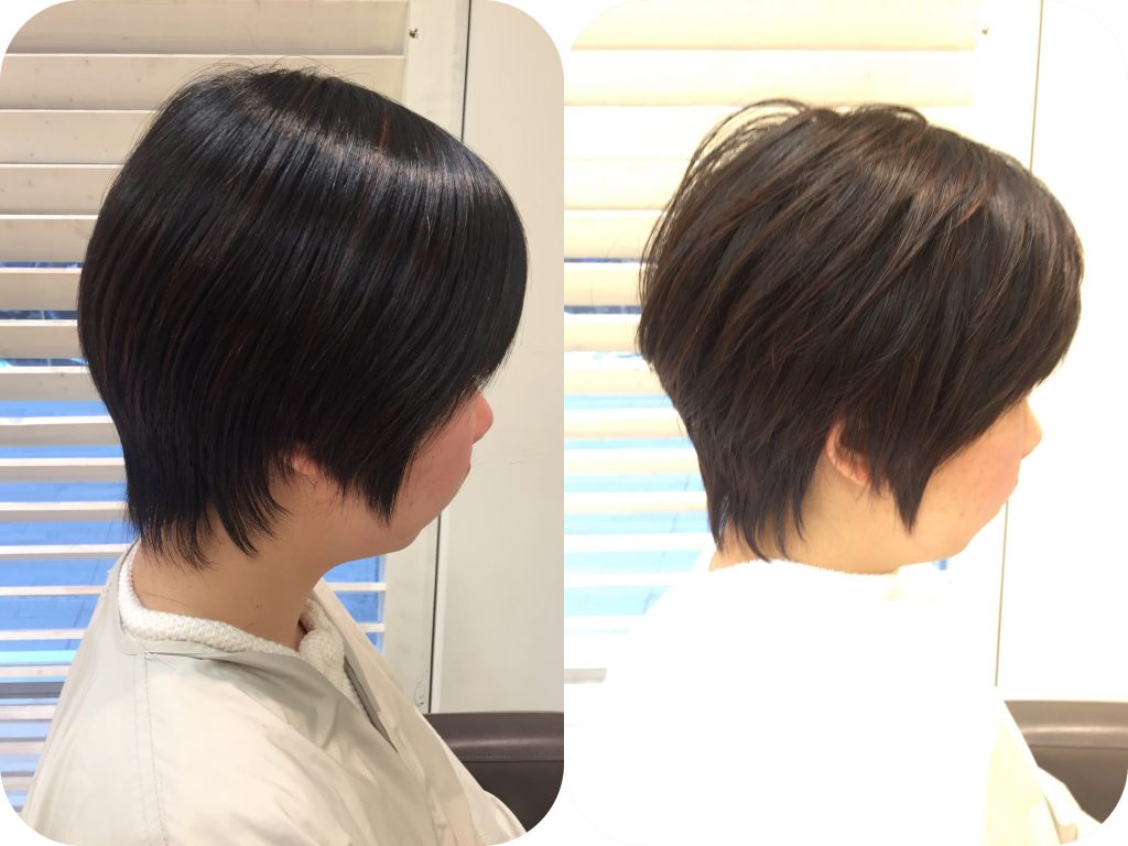 やっぱり今年は、、、