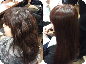 レプレカラーやいかに