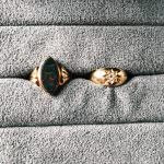 相棒が増えました