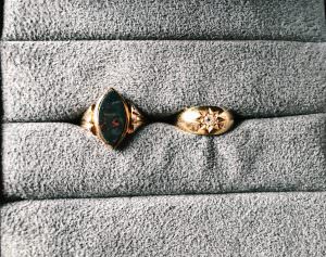 相棒が増えました