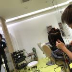 ドライカット勉強会