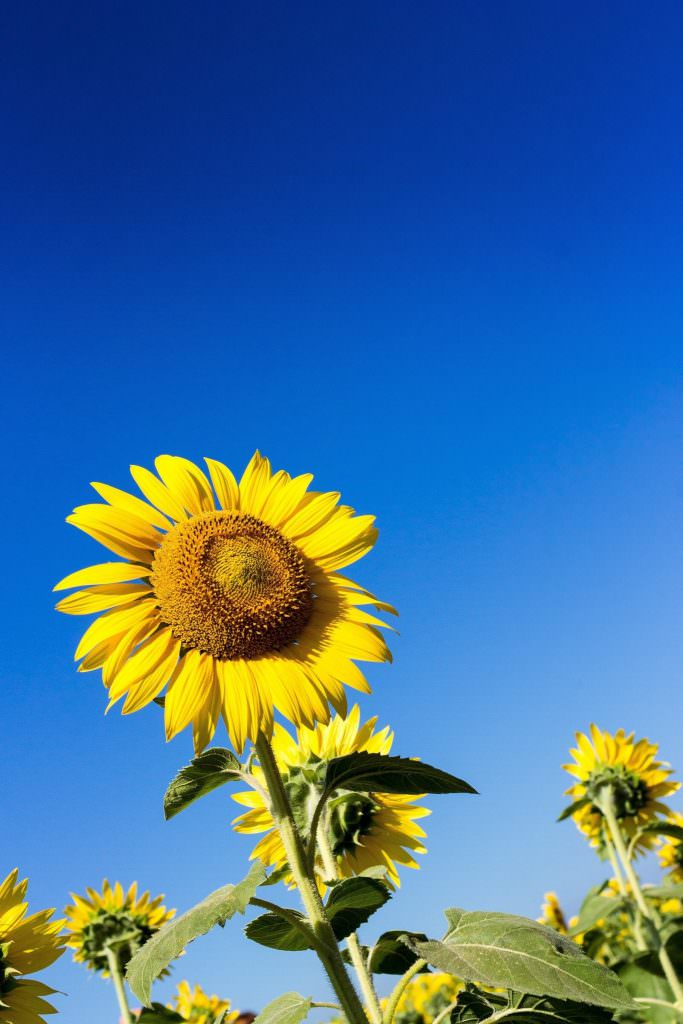 もう悩まない！！！気持ちよく職場に行ける休日の過ごし方
