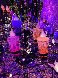 最近の出来事をつらつらと。