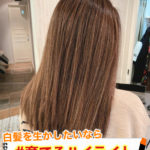 『もう白髪染めは嫌だ！』そんな貴方へ【育てるハイライト】の紹介