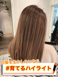 『もう白髪染めは嫌だ！』そんな貴方へ【育てるハイライト】の紹介