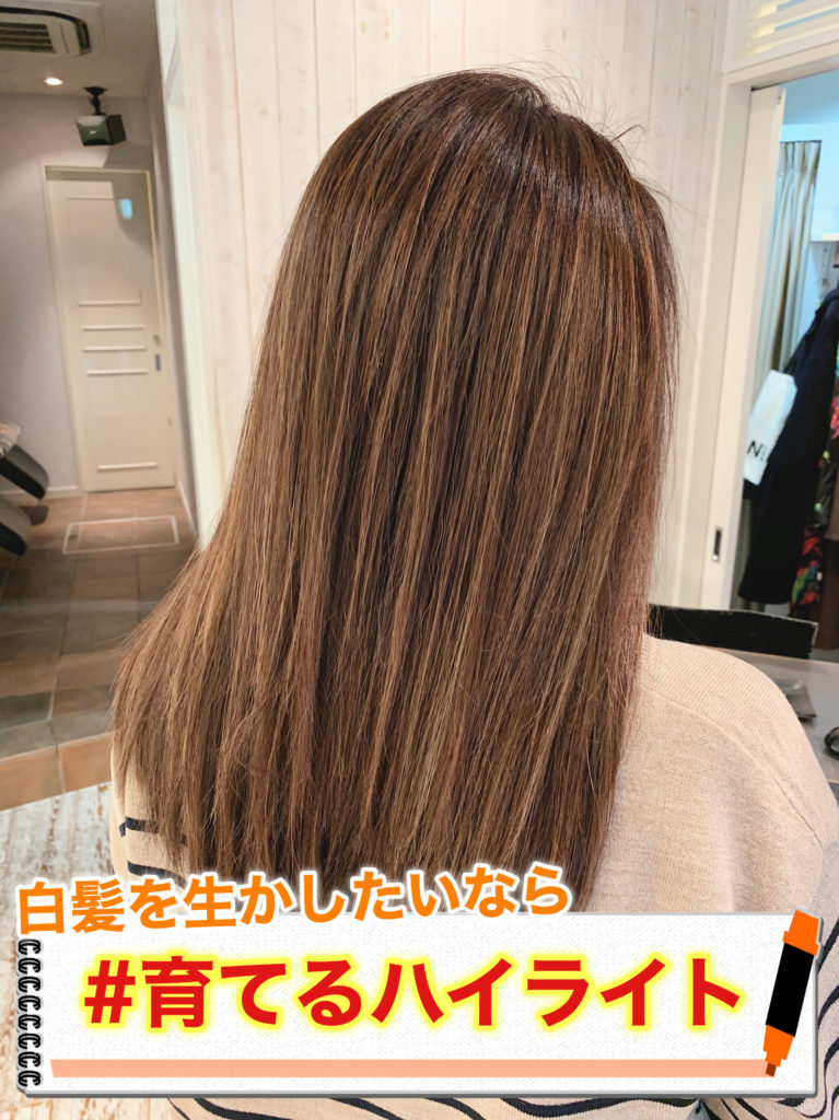 『もう白髪染めは嫌だ！』そんな貴方へ【育てるハイライト】の紹介